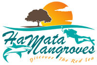 Hamata Mangroves